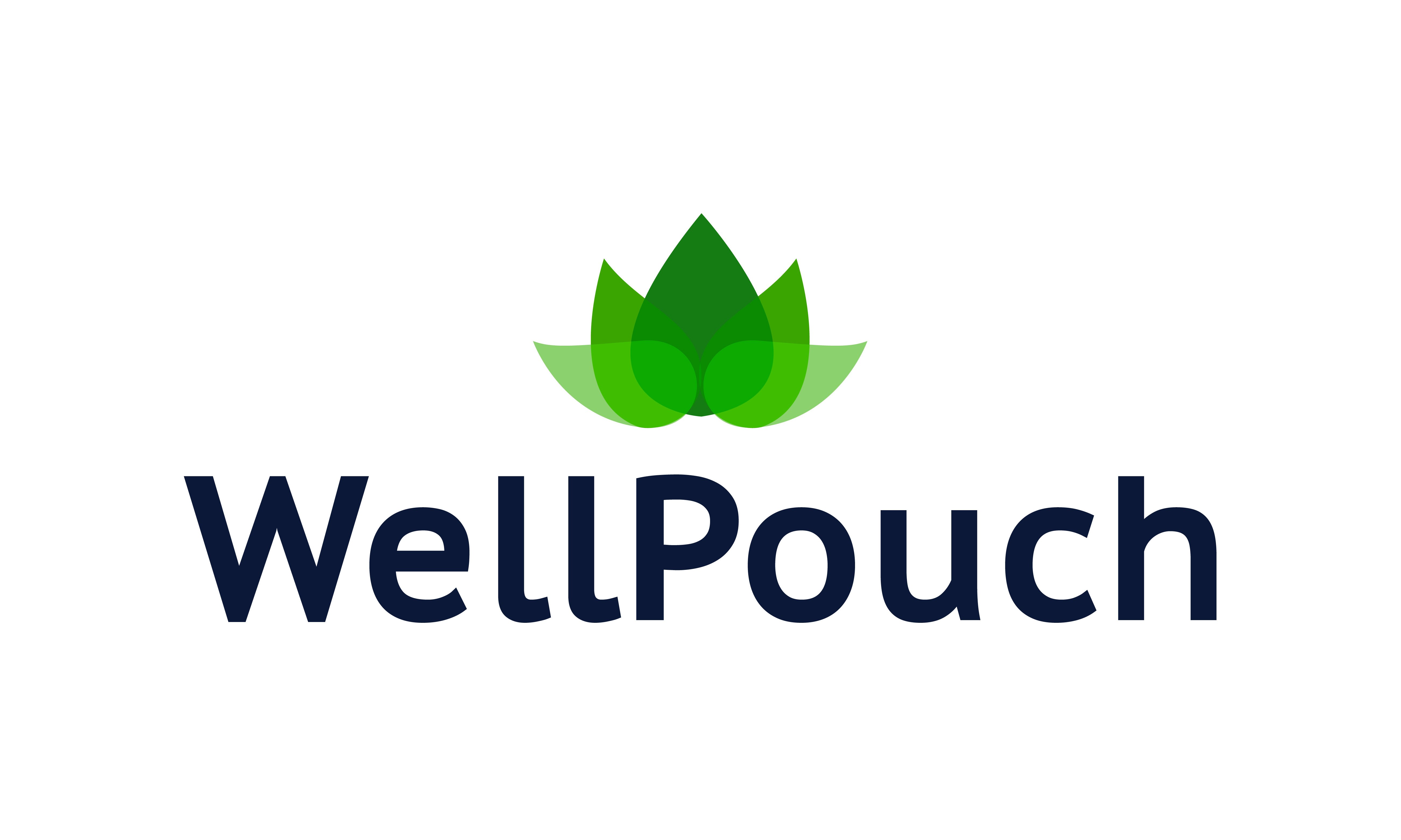 WellPouch.com - buy Great premium domains